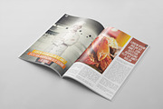 Magazine Template 18, a Magazine Template by pmvch (Thumbnail 20 of 30)