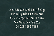 Mavericks + Pelicano, a Script Font by Bruised Goods (Thumbnail 8 of 10)