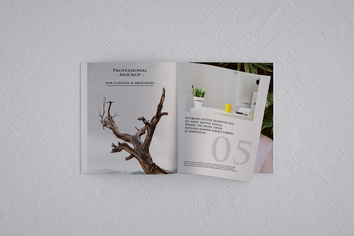 Square Catalog/Brochure Mock-Up, a Print Template by StyleMockups (Photo 6 of 7)