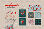 Backyard birds collections, an Illustration by Mona Ahmed (Thumbnail 4 of 10)