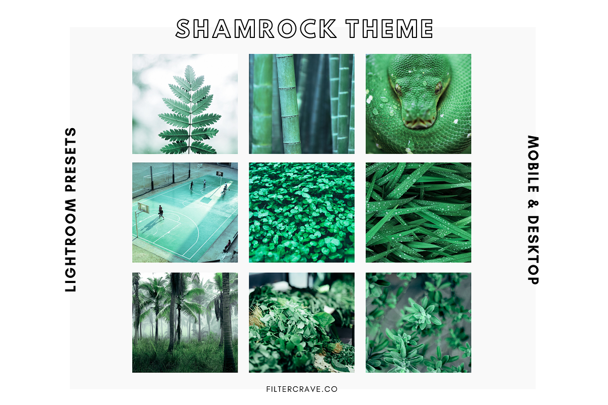 Shamrock Lightroom Presets Instagram, an Action Add-On by Filtercrave (Photo 2 of 8)