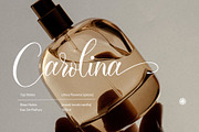 Sandara Script- A Modern Calligraphy, a Script Font by RHD Creative Studio (Thumbnail 3 of 12)