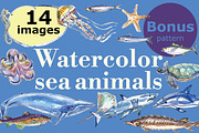 Watercolor sea animals, an Animal Illustration by miminoshka (Thumbnail 1 of 9)