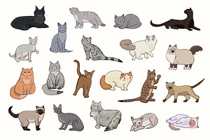 Breeds Of Cats