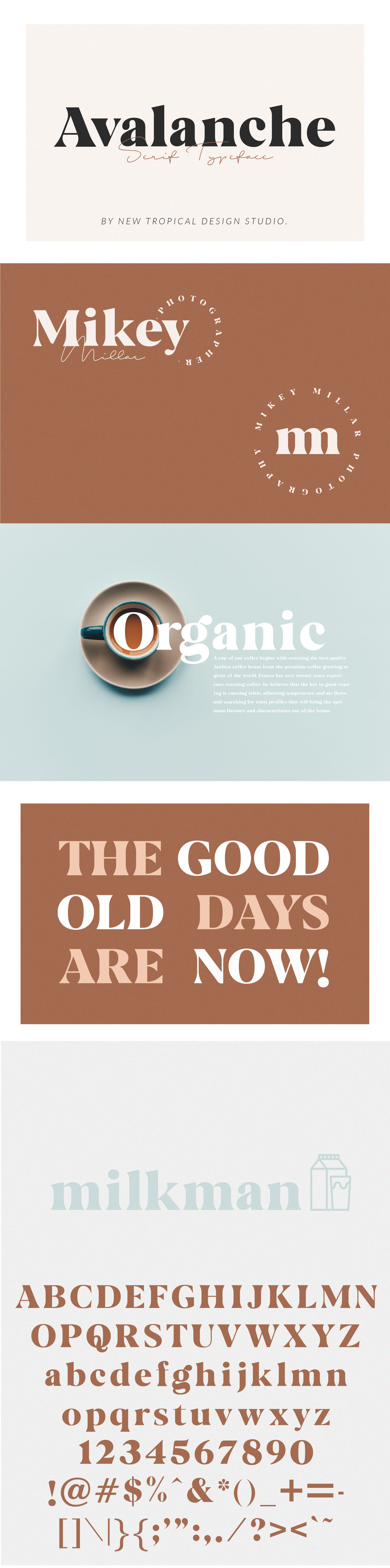 Avalanche - Serif Font by Tropical Type | Creative Market