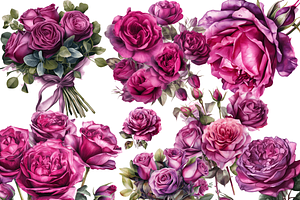 Watercolor Purple Roses Clipart