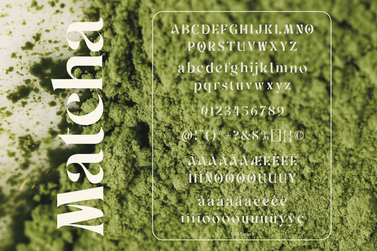 Matcha Serif Display, a Serif Font by giemons™ (Photo 8 of 8)
