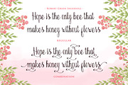 Bellanie Script, a Script Font by ianmikraz (Thumbnail 3 of 5)