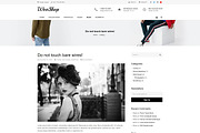 WooShop – eCommerce WordPress Theme, a WordPress Template by Cherry Wordpress Theme (Thumbnail 9 of 9)