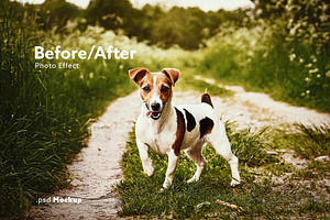 Before/After Photo Effect