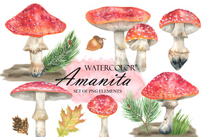 Watercolor Amanita