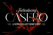 Casero Elegant Serif Font