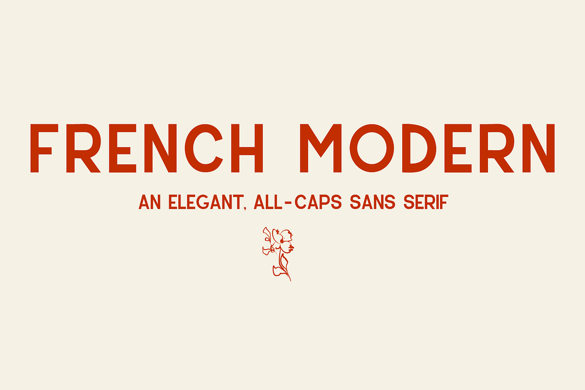 French Modern - A sans serif font, a Sans Serif Font by amberrogals (Photo 1 of 6)