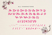 Quaty Heart - Retro Script Font, a Script Font by Dhabee (Thumbnail 13 of 18)