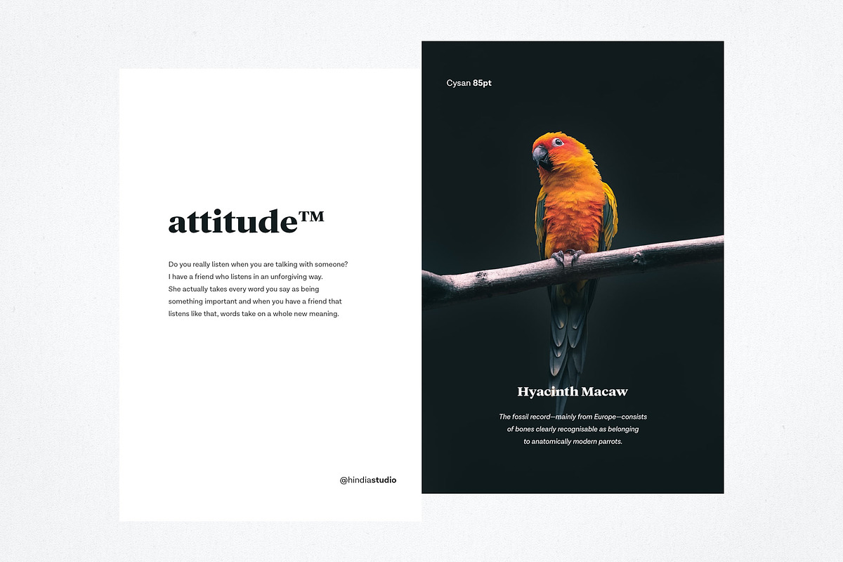 Cysan - Modern Serif, a Serif Font by Hindia Studio (Photo 5 of 10)