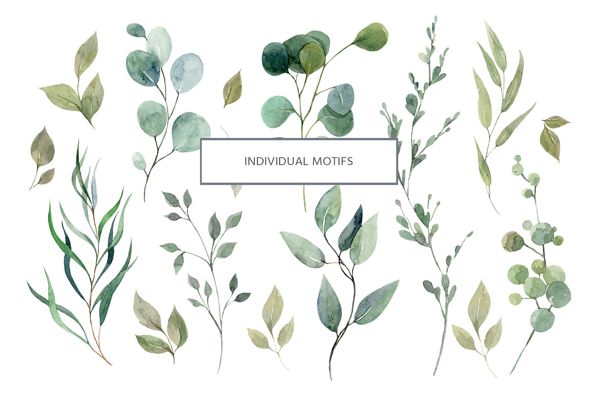 Herbal watercolor collection, a Pattern Graphic by HannaStudio (Photo 2 of 8)