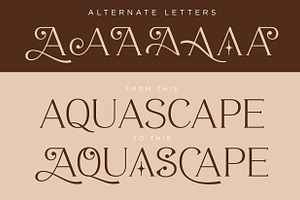 ROAST - Decorative Display Serif