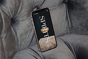 Champagne Cartel Family, a Serif Font by Tropical Type (Thumbnail 8 of 17)