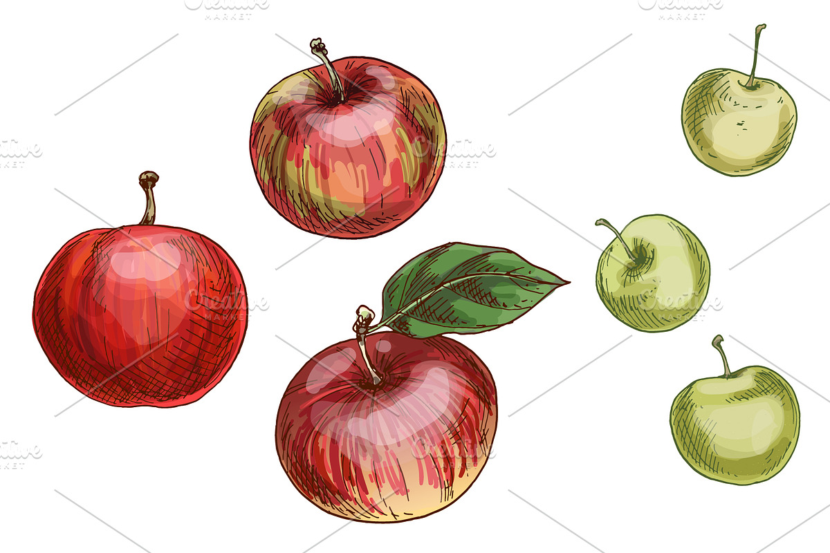 Autumn. New season Illustration Pack, an Object Graphic by Schumacher Shop (Photo 4 of 9)
