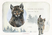 Woodland Babies Wild Animals Clipart, an Animal Illustration by whiteheartdesign (Thumbnail 6 of 28)