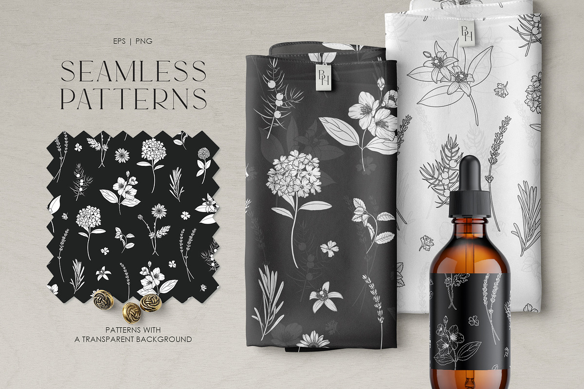 Black Herbs. Vector Set, an Object Graphic by PatrushevaYana (Photo 4 of 6)