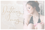 Aeriform, a Script Font by Larin Type Co. (Thumbnail 2 of 7)