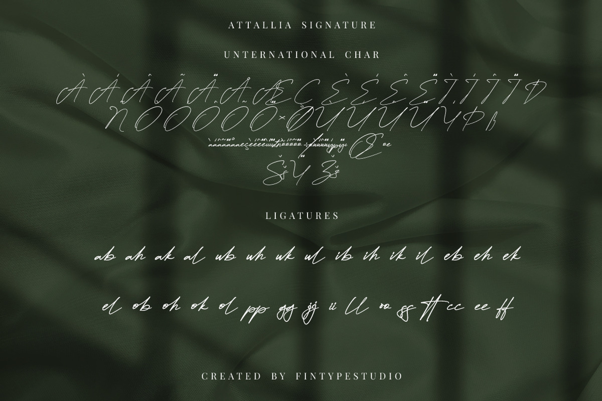 Attallia Signature Business Font, a Script Font by KennedyStudio (Photo 9 of 11)