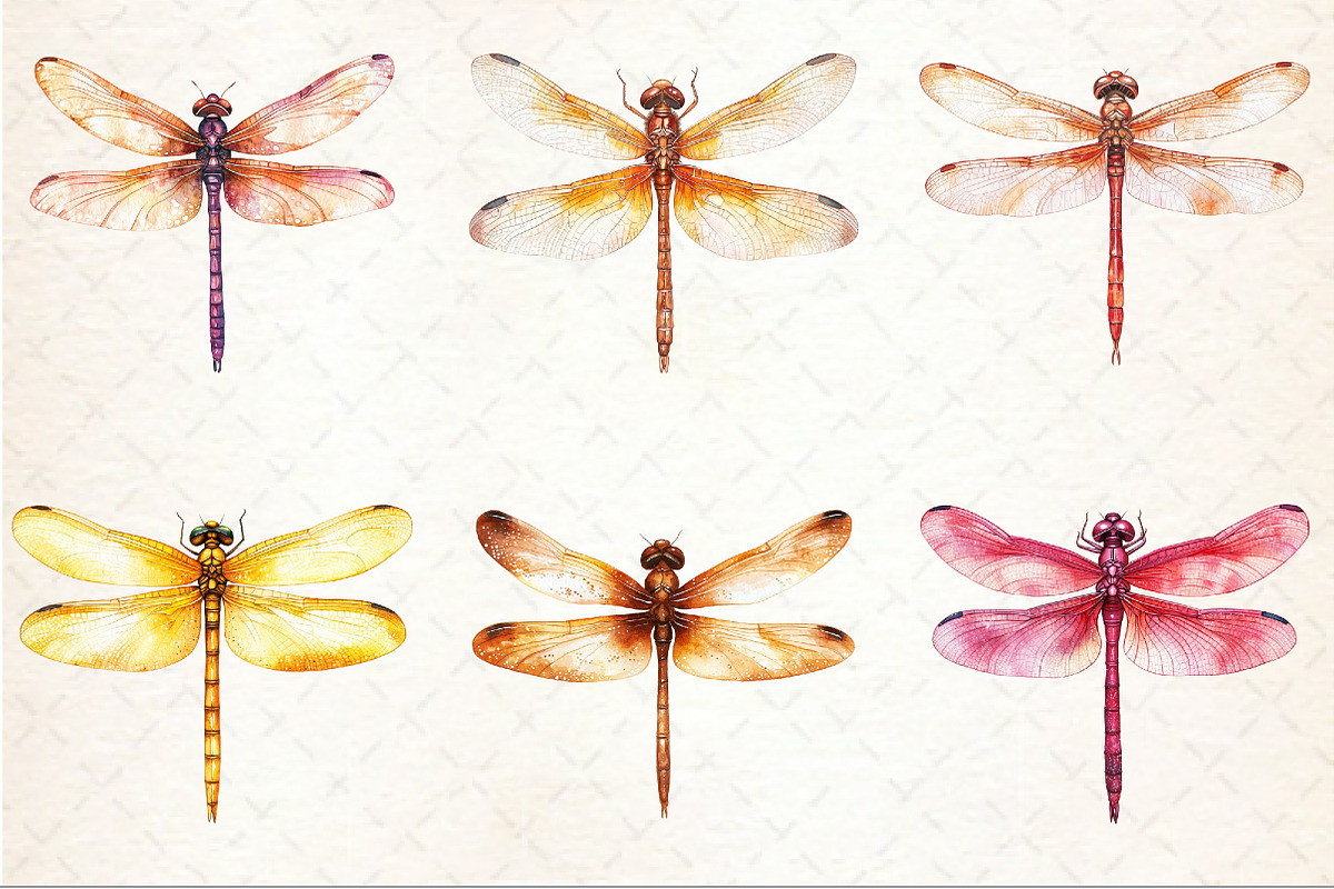 Autumn Dragonfly Clipart, an Illustration by Rose Art (Photo 3 of 7)