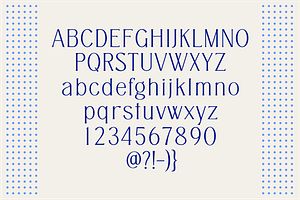 Asides - Family Serif Font