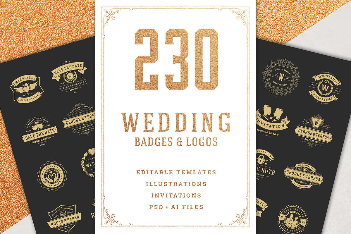 230 Wedding Overlays and Titles, an Invitation Template by Vasya Kobelev (Photo 47 of 47)