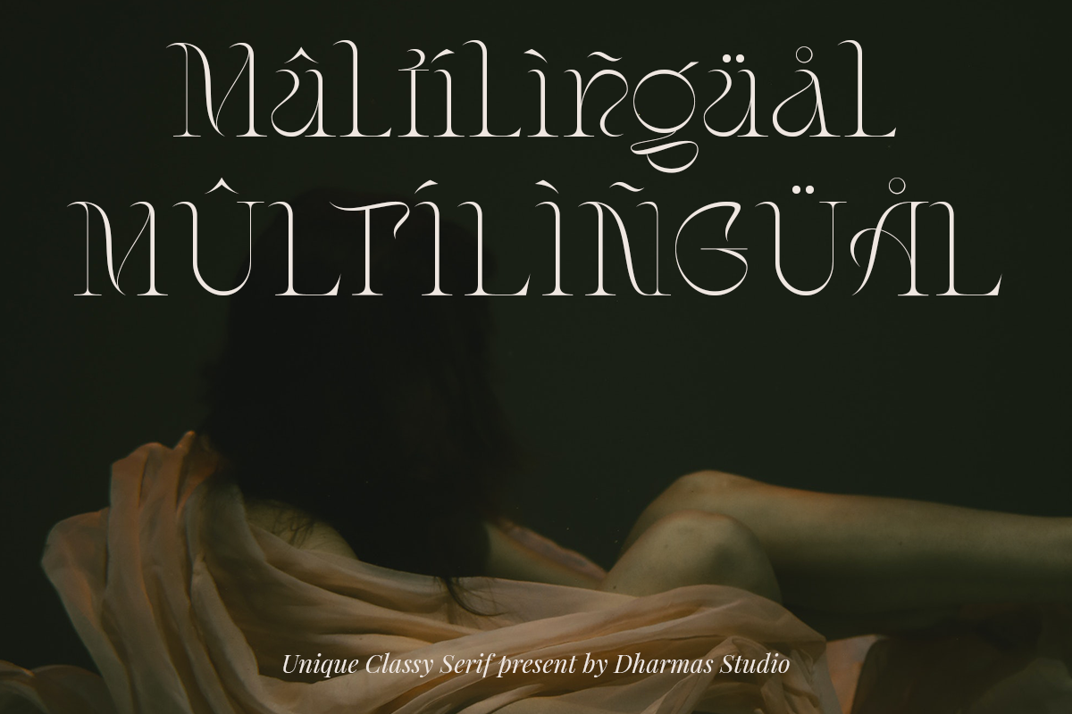 Stager - Unique Classy Serif, a Serif Font by Dharmas Foundry (Photo 15 of 15)