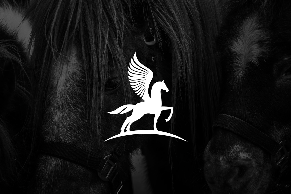 Minimalist Silhouette Pegasus Logo, a Branding & Logo Template by Luxury Logos (Photo 2 of 4)