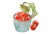 Watercolor 24 fruits set, a Food Illustration by My watercolor shop (Thumbnail 14 of 16)
