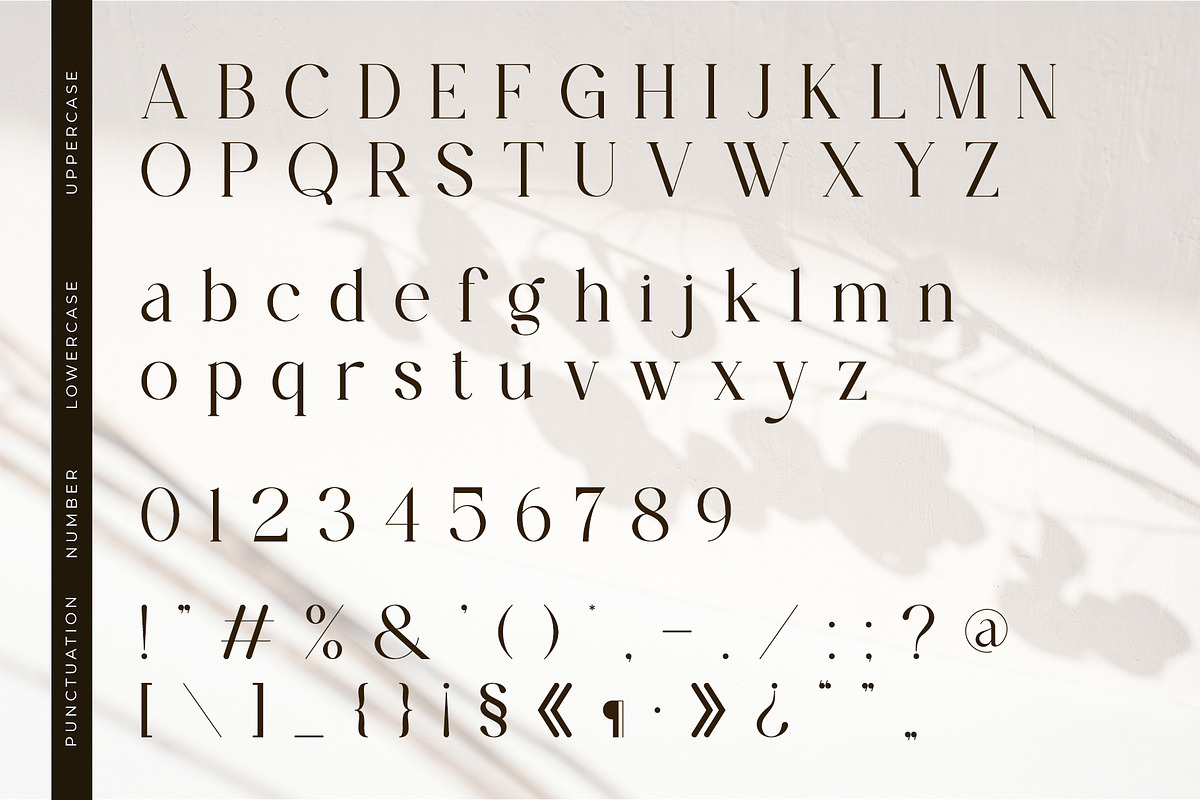 The Estory Modern Serif Font, a Serif Font by Idea Studio (Photo 12 of 12)