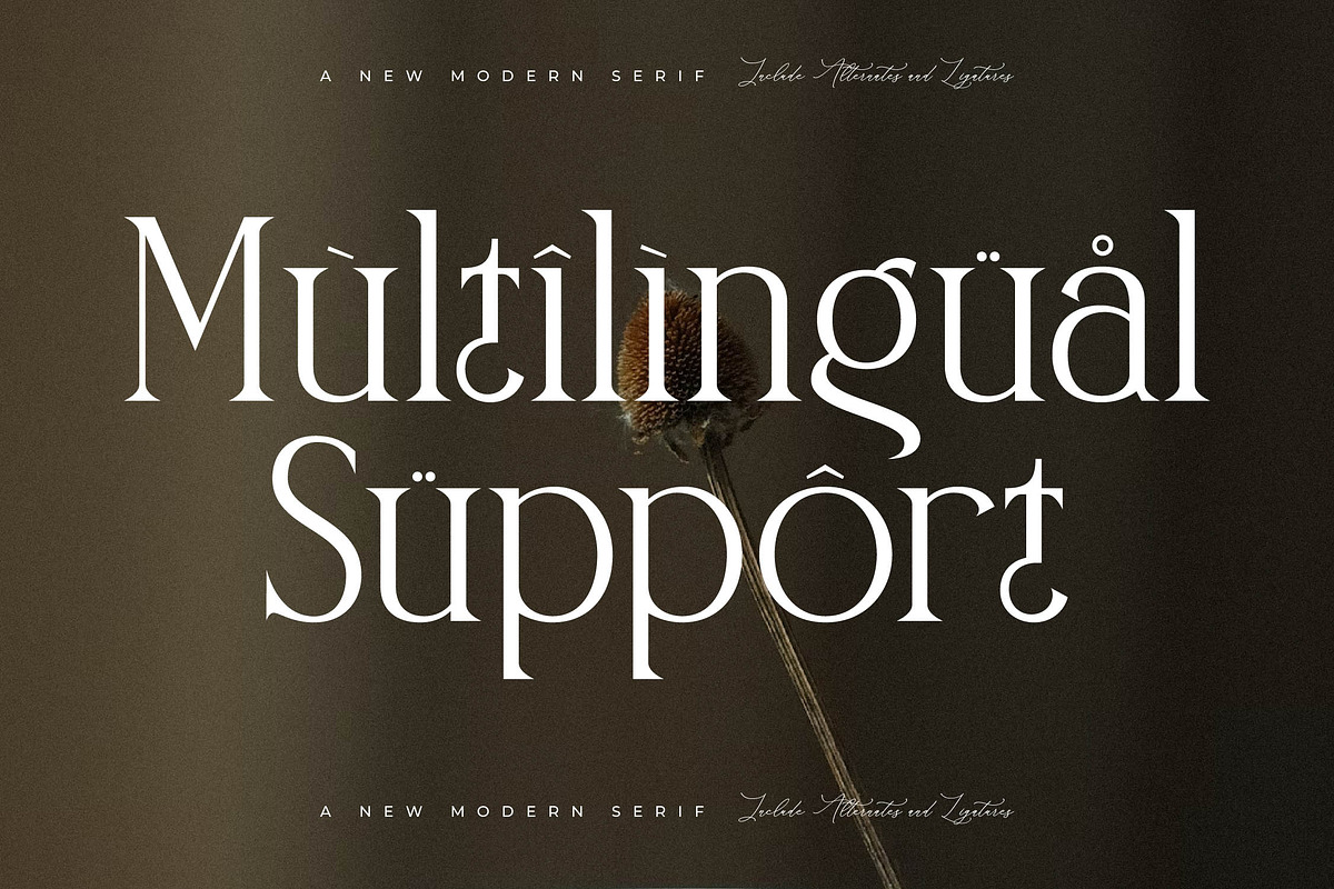Naftegfo A New Modern Serif, a Serif Font by Storytype Studio (Photo 11 of 15)