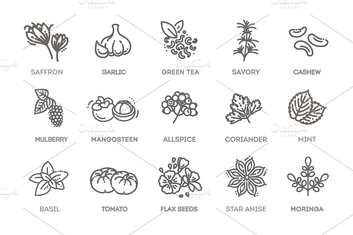 Antioxidant Food Icons, a Food Illustration by Tettygreen (Photo 2 of 3)