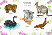 Animals Australia Watercolor, an Animal Illustration by MitrushovaArt (Thumbnail 2 of 10)