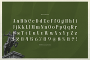 Davenor | Display Serif Font, a Serif Font by gracetype_studio (Thumbnail 9 of 11)
