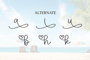 Beach Script Font