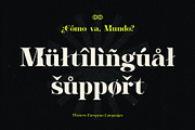Ad Astra - Graceful Serif Font, a Serif Font by Darumo Shop (Thumbnail 4 of 10)