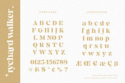 Rychard Walker | Modern Serif Font, a Serif Font by Pentagonistudio (Thumbnail 8 of 12)
