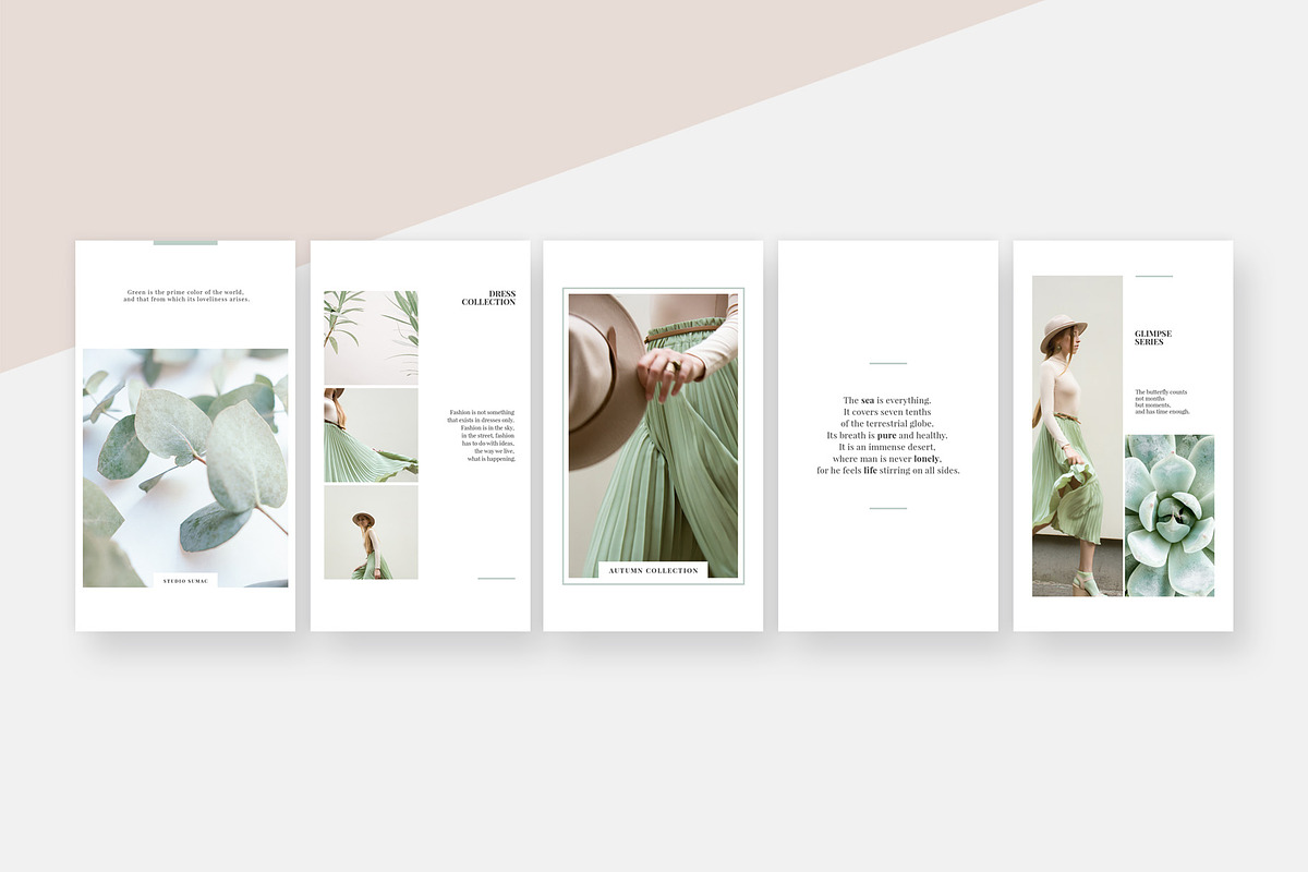 Ginkgo Animated Instagram Stories, a Social Media Template by Studio Sumac (Photo 4 of 6)