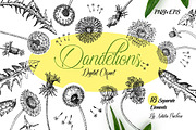 Dandelions  Sketches Clipart, a Decorative Illustration by Nataliapiache (Thumbnail 1 of 5)
