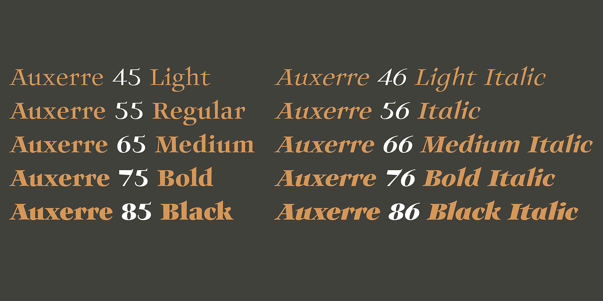 Auxerre, a Serif Font by ingoFonts (Photo 5 of 8)