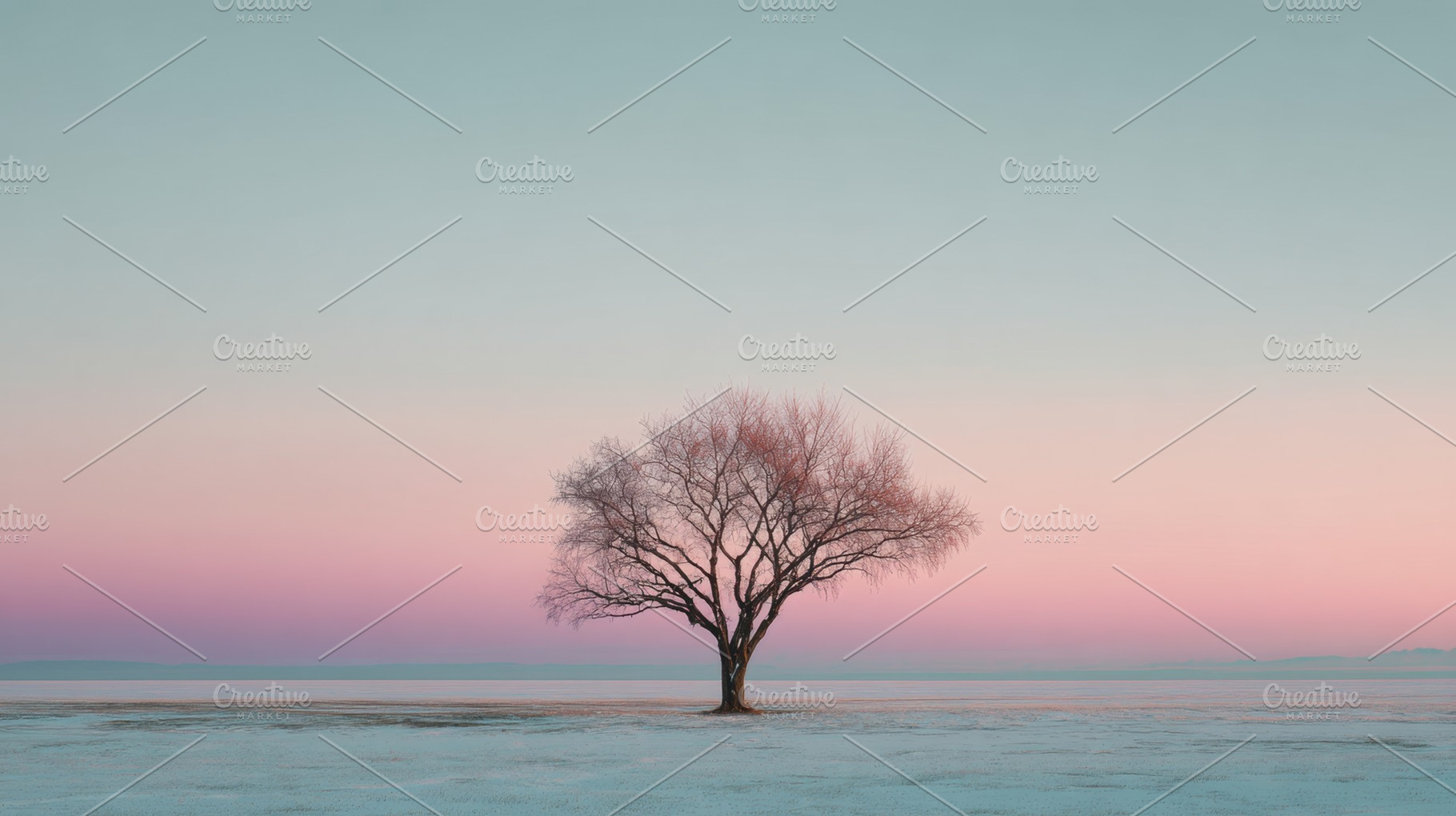 Lonely tree stands in winter light, a Photo by Beautiful things