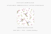 Hummingbirds Pattern, an Illustration by Pati Charm Studio (Thumbnail 4 of 7)