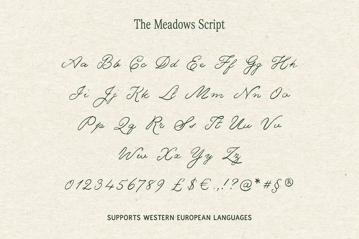 The Meadows - Font Trio & Extra, a Handwritten Font by Davide Bassu (Photo 23 of 25)
