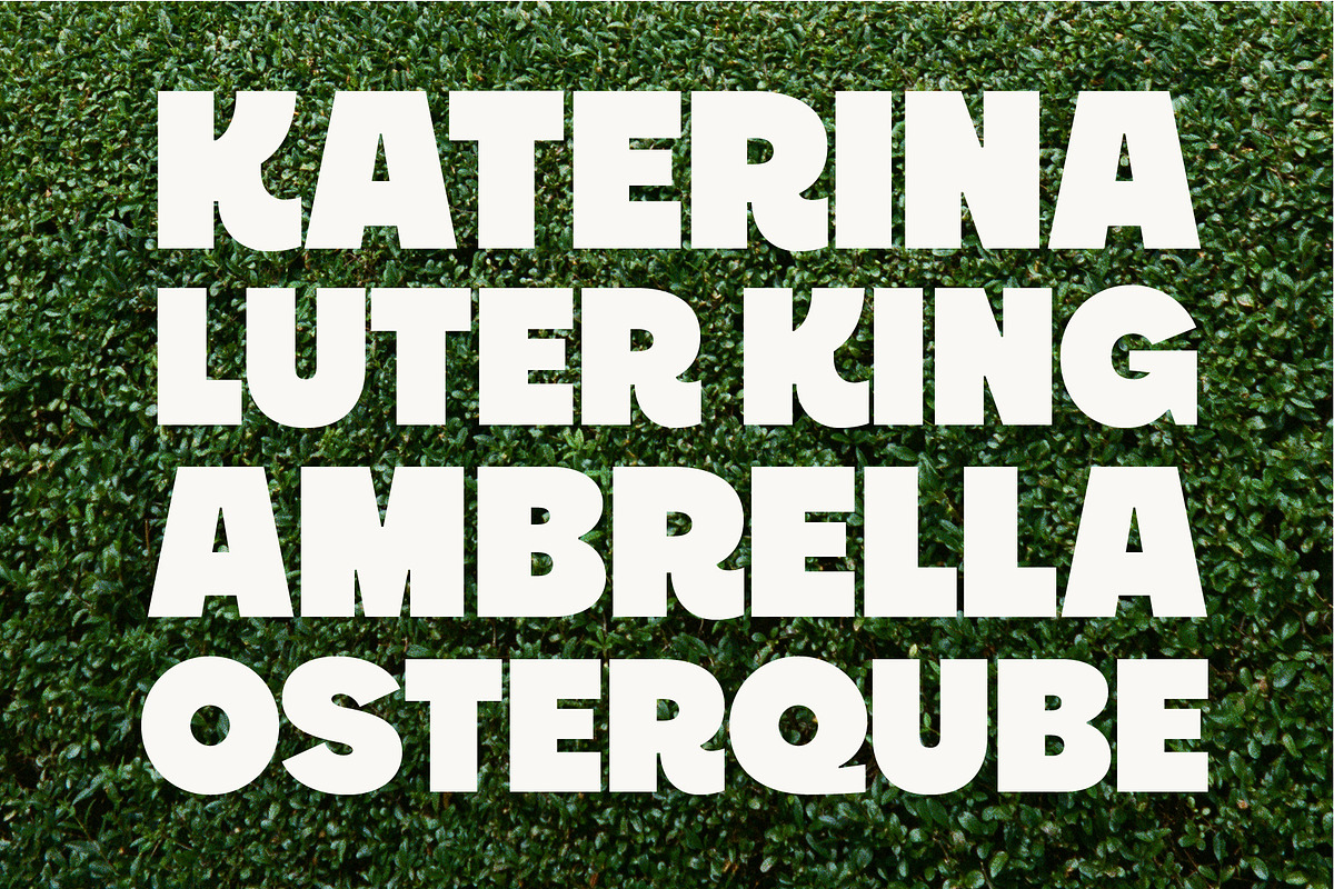YNF Headliner | Wonderful sans serif, a Sans Serif Font by YNF (Photo 12 of 24)