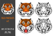 Tiger portraits set, an Animal Illustration by Vector beauty (Thumbnail 1 of 3)