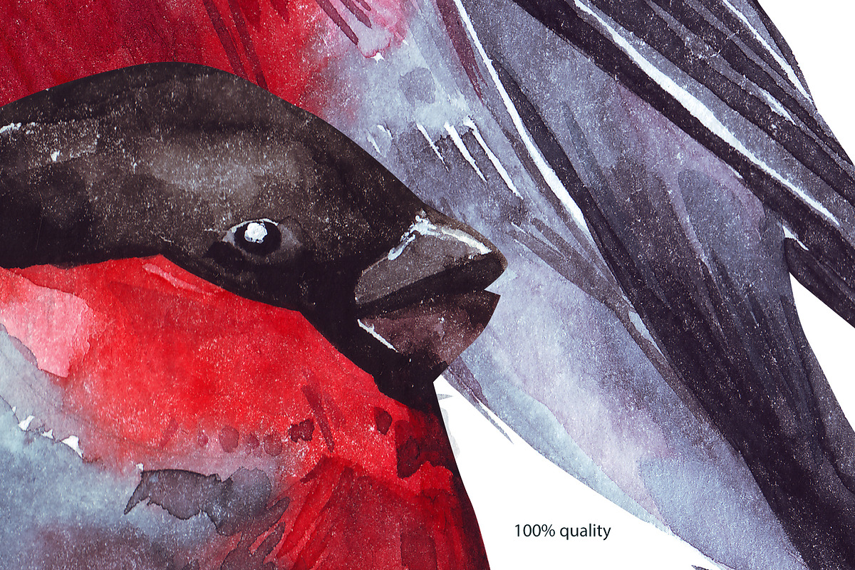 Watercolor winter story, an Illustration by YuliaBiser (Photo 11 of 11)